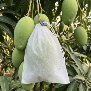 TÚI LỌC HÀ THANH