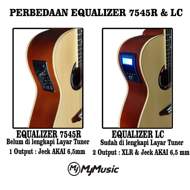 Gitar akustik elektrik apx 500 custom free custom nama 3