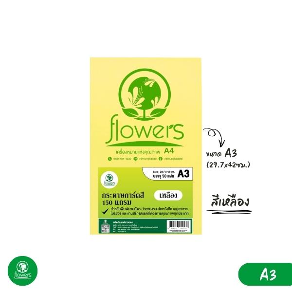 กระดาษการ์ดสี flowers A3 150 แกรม 50 แผ่น (Colors Card Paper)