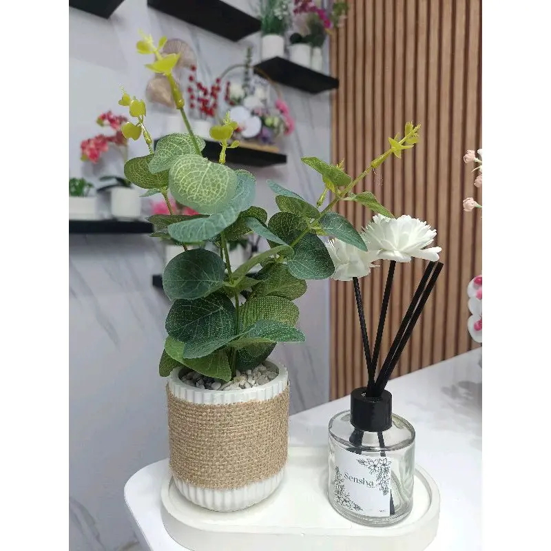 Sensha Galeria Set Daun Eucalyptus Pot Diffuser / Hiasan Meja Estetik / Hiasan Rumah Estetik / Hiasan meja kantor meja kerja Hampers Home decor 4