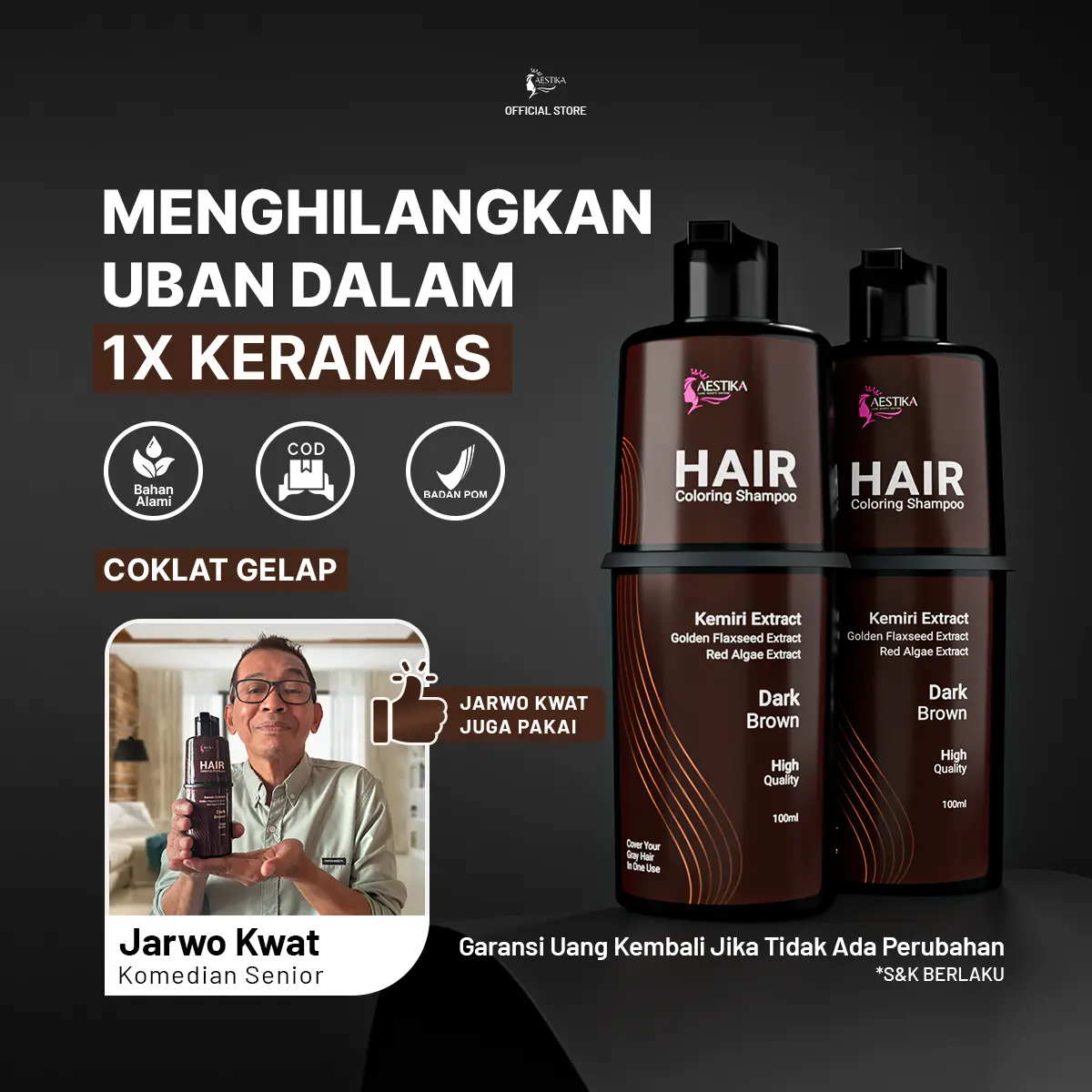 (Paket Hemat 2pcs) Aestika Dark Brown Hair Coloring Shampoo  - Penutup uban 1x keramas