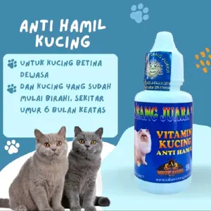 Obat Anti Hamil Kucing Mencegah Kehamilan Kucing dan Proses Ovulasi Pada Kucing Obat KB