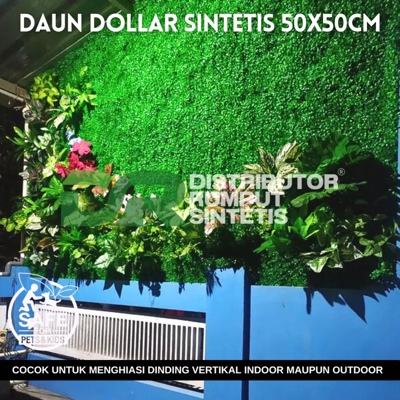 Daun Dollar UK 50x50CM FULL HIJAU - Cocok Untuk Indoor Dan Outdoor 3