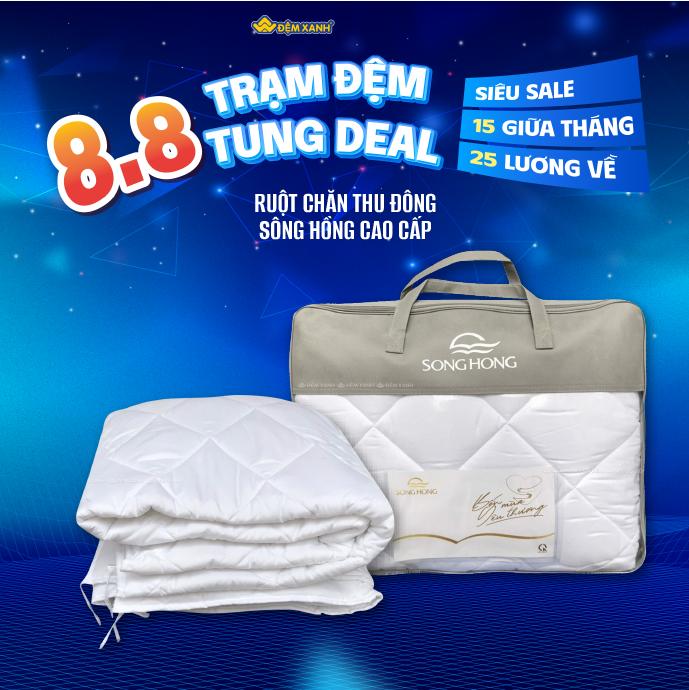 Ruột chăn thu đông Sông Hồng Urban 200x220cm