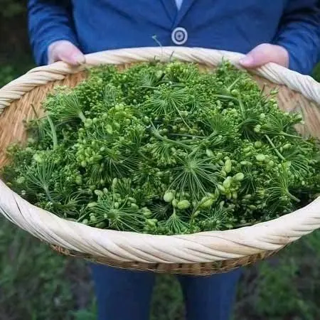 Hoa sâm sấy khô Hàn Quốc đóng túi 0.5kg
