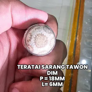 batu akik teratai sarang tawon asli bunga fokus