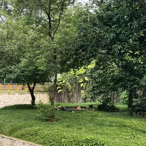 Captain Hairstyling Hair Powder 10gr / Hair Powder Pria / Bubuk Penata Rambut / Strong Hold / Matte / Volumizing / Membuat Rambut Tampak Lebih Tebal / Rambut Bertekstur / Mengatasi Rambut Lepek Pomade Rontok