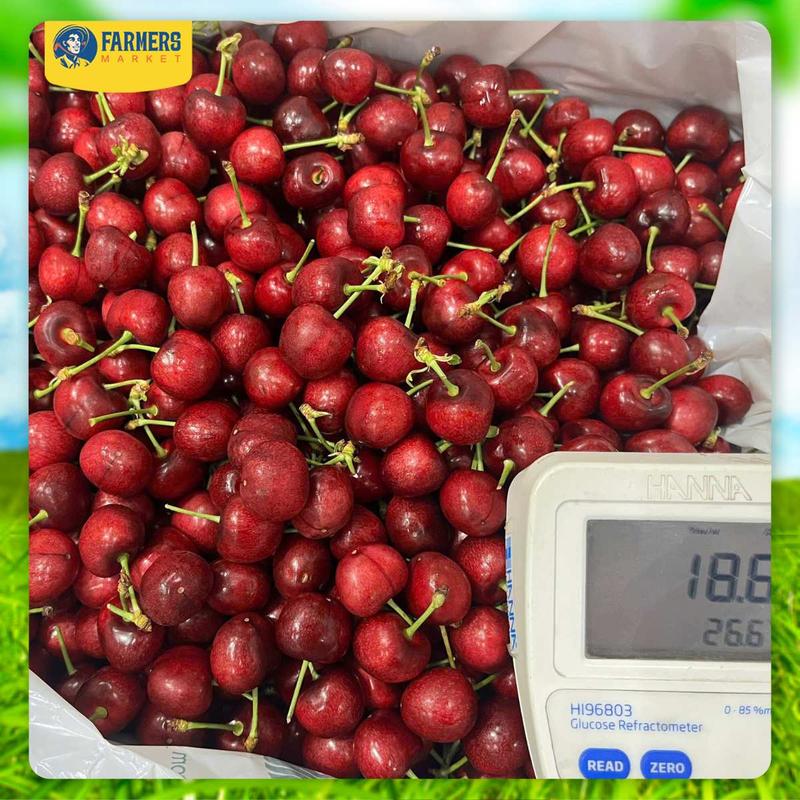 [Trái cây nhập khẩu] Cherry đỏ Mỹ size 10 - Cherry đầu mùa, ngọt xen lẫn chua, cứng trái cuống xanh 4