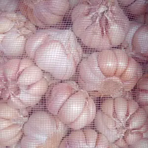 Bawang putih sinco import 1kg (1000 gram)