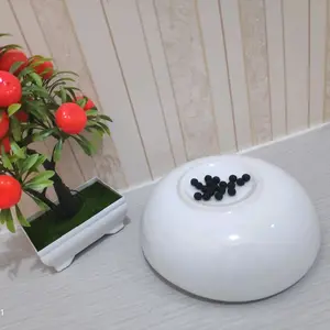 obat herbal tambal khusus sakit gigi berlubang