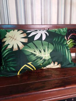 Product Review of sarung bantal jumbo uk 50x70 pakai resleting katun halus from l**k a** m** p**e 3