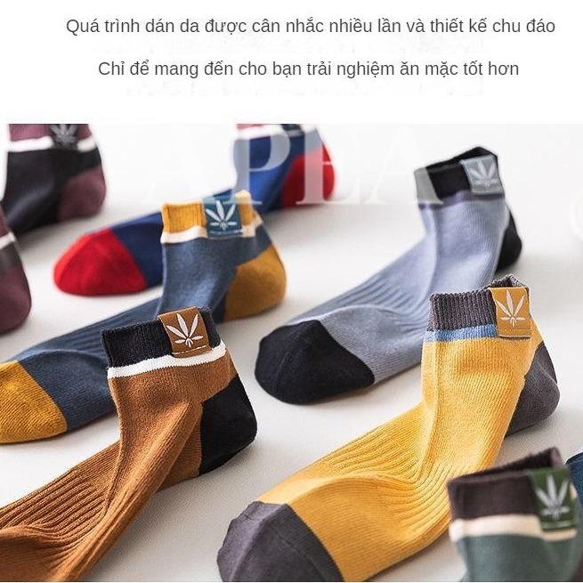 Tất Thể Thao, 10 Đôi, Dành Cho Nam Và Nữ, Có Thể Mặc Mùa, Hợp Xu hướng, Thoáng Khí, Thấm Hút Mồ Hôi, Tất cổ xẻ Sâu 3
