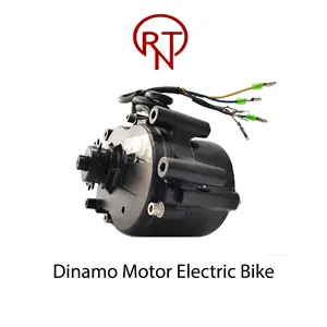 Dinamo Motor Electric Bike 36V 250w Brussless (7090)