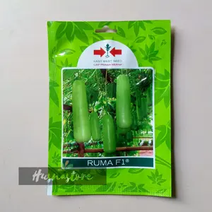 benih labu air ruma f1 cap panah merah isi 30 butir