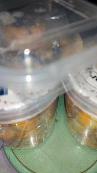 Product Review of Kue Kering Nastar Klasik Original by Zee Zee Cookies kue kering kiloan nastar sultan nastar premium from R**n 2