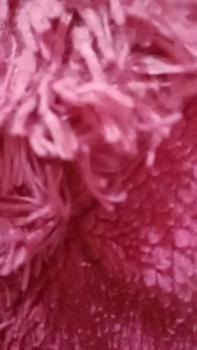 Product Review of Akhtara | Blau Kotak Cap Kuda Terbang Cuci Baju Piring Medan from s**r s**🥰 0