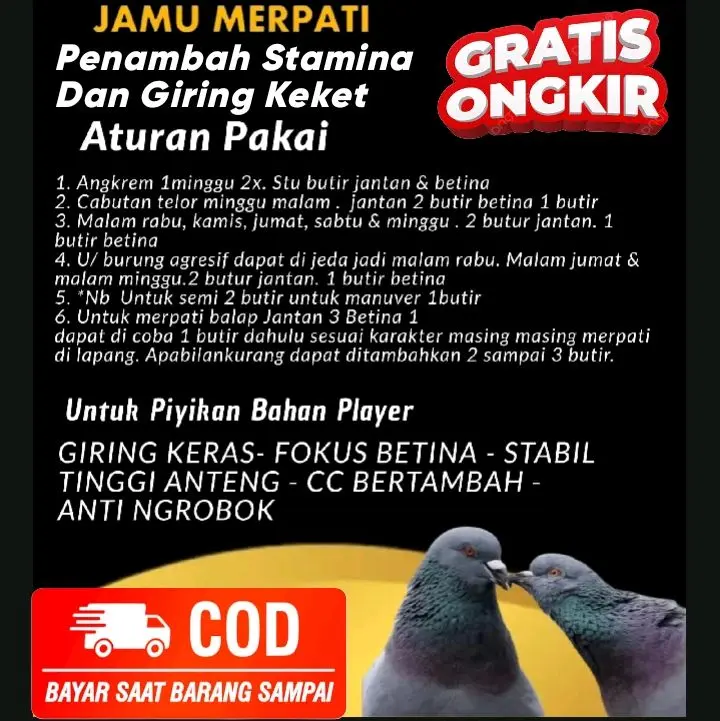 Jamu Merpati Giring Keket Keras Paling Ampuh dalam 2 hari pil edan pil alus extra ginseng teki plus 5