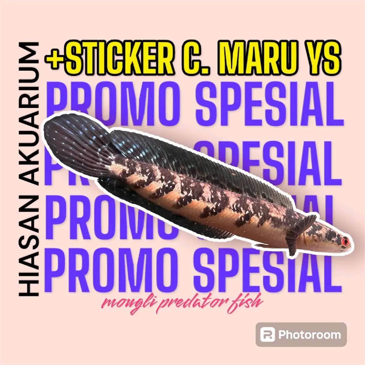 sticker maru ys yellow sentarum 14-16cm
