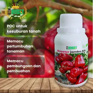 Pupuk Booster Jambu Air Pelebat Organik Cepat Berbuah Lebat 100ml murni fermentasi organik Bunga Tanaman