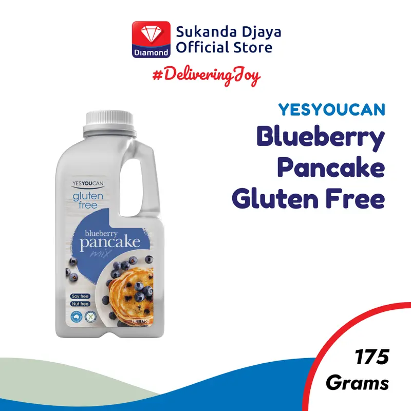 YesYouCan Gluten Free Blueberry Pancake 0
