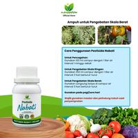 Gambar Pestisida Nabati Organik MANGGROW 100 ml – Pembasmi Hama Alami untuk Semua Tanaman dari Manggrow Official Shop Kab. Sukoharjo 3 Tokopedia