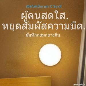 Charging induction night light, LED light, automatic human body induction light, suitable for corridor entrances, household charging buildings, corridors, wardrobes, bathrooms, heating lights, plug-in and free.