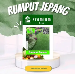 Bibit Rumput Jepang Unggul Berkualitas Tinggi
