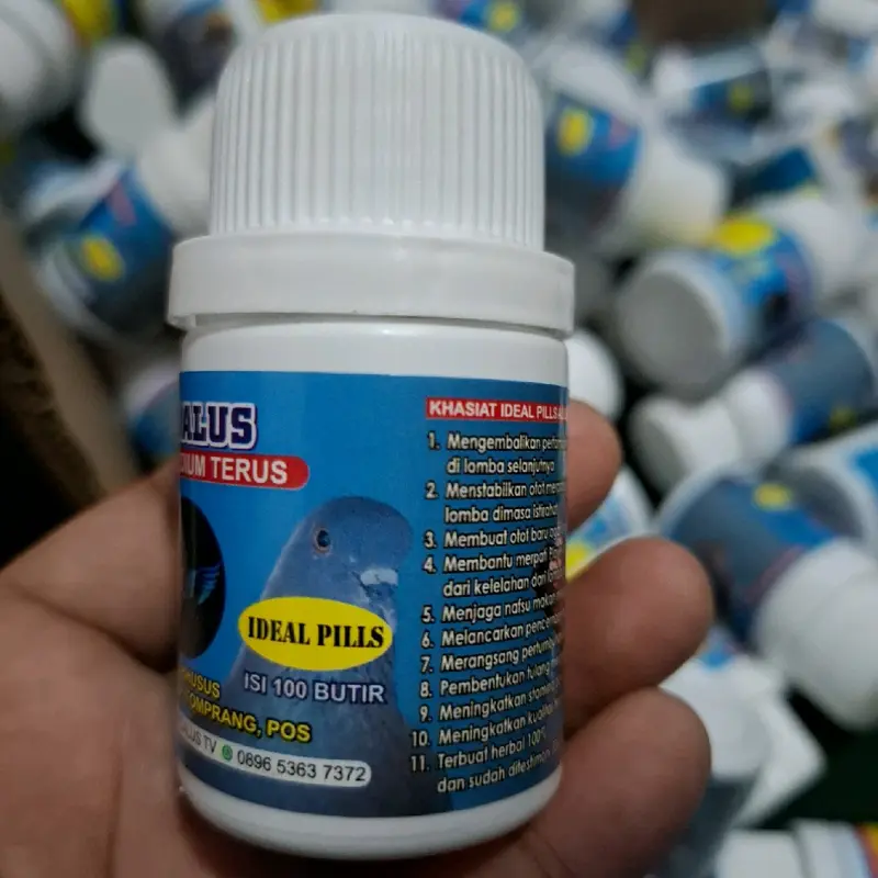 IDEAL PIL ALUS ISI 100 BUTIR KHUSUS MENGERAM 1