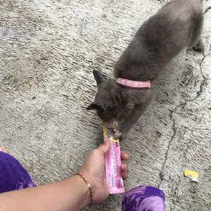 Snack Kucing "LING LING10 PCS" Snack kucing basah bergizi