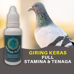 Obat & Jamu Merpati Kolong Tinggian Juragan Player Doping Giring Keras Biar Keket Meningkatkan Stamina dan Tenaga