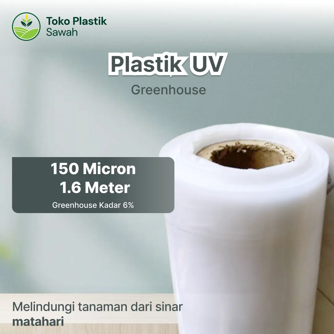 Plastik UV Green house Tebal 150 Micron 6% Lebar 1,6 Meter