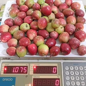 APEL ANA SUPER KECIL SEKILO ISI KISARAN 30-35 BUAH RASA ASAM PENGIRIMAN HANYA JATIM JATENG BALI