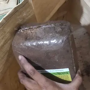FELLAGRO Cocopeat Block 1 KG Media Tanam Organik Low-EC Mengembang Hingga 12 Liter untuk Menjaga Kelembaban dan Menyimpan Nutrisi
