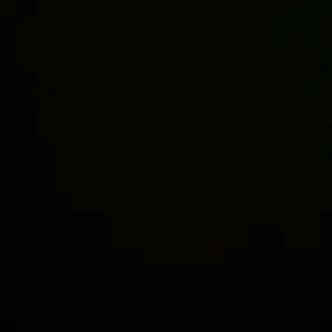 NUTRIPEDIA CHIA SEED 70 GRAM BLACK CHIA SEED NATURAL ORGANIK