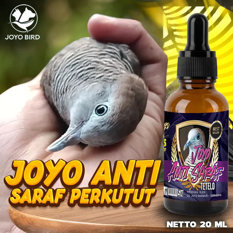 OBAT BURUNG TETELO | OBAT GANGGUAN SARAF | SAYAP BURUNG TERKULAI | KEPALA BURUNG MUTER - MUTER ( KHUSUS PERKUTUT ) | JOYO ANTI SARAF PERKUTUT 0