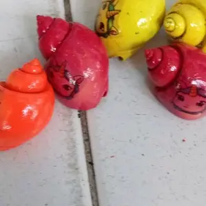 KELOMANG HIDUP WARNA-WARNI JUAL 10PCS