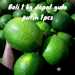 Carlipornia Jeruk Lemon Fresh 1kg Gratis Gula Putih 1pcs Kualitas Terbaik