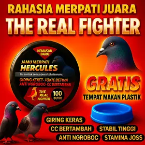 Jamu Merpati Hercules 100 Butir Meningkatkan Stamina & Nafas Kuat Giring Keras Stabil Tinggi Anti Ngrobocc Cc Bertambah