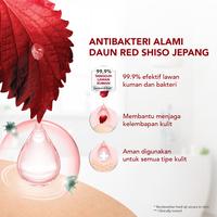 Gambar Zen Antibacterial Body Wash Shiso & Tea Tree Refill 725gr - Sabun Cair Anti Bakteri dari Shinzui Shop Kota Bekasi 4 Tokopedia