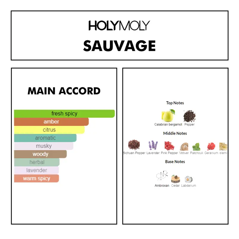 Holymoly Parfum SAVAGE - Parfum savage EDP UNISEX tahan lama Perfume Pria 1