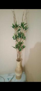 Product Review of 10 Batang Bambu Ulir Natural Variasi Daun  (Tidak Termasuk Vas/Pot) from A**2 0