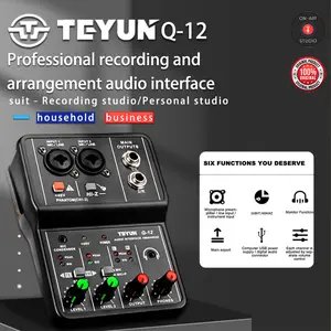 Portable Audio Interface Teyun Q12 Professional Mini External Sound Card Mixer 48V Computer Guitar Studio PC Record Equipment