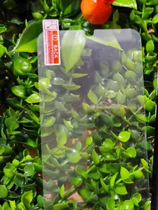 Pelindung Ponsel Kaca Tempered Model S23