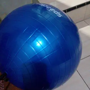 Speeds Gym Ball / Gymball Bola Yoga Homegym Yogaball Bonus Pompa Balon Untuk Ibu Hamil Bumil 019-1 019-2 019-3