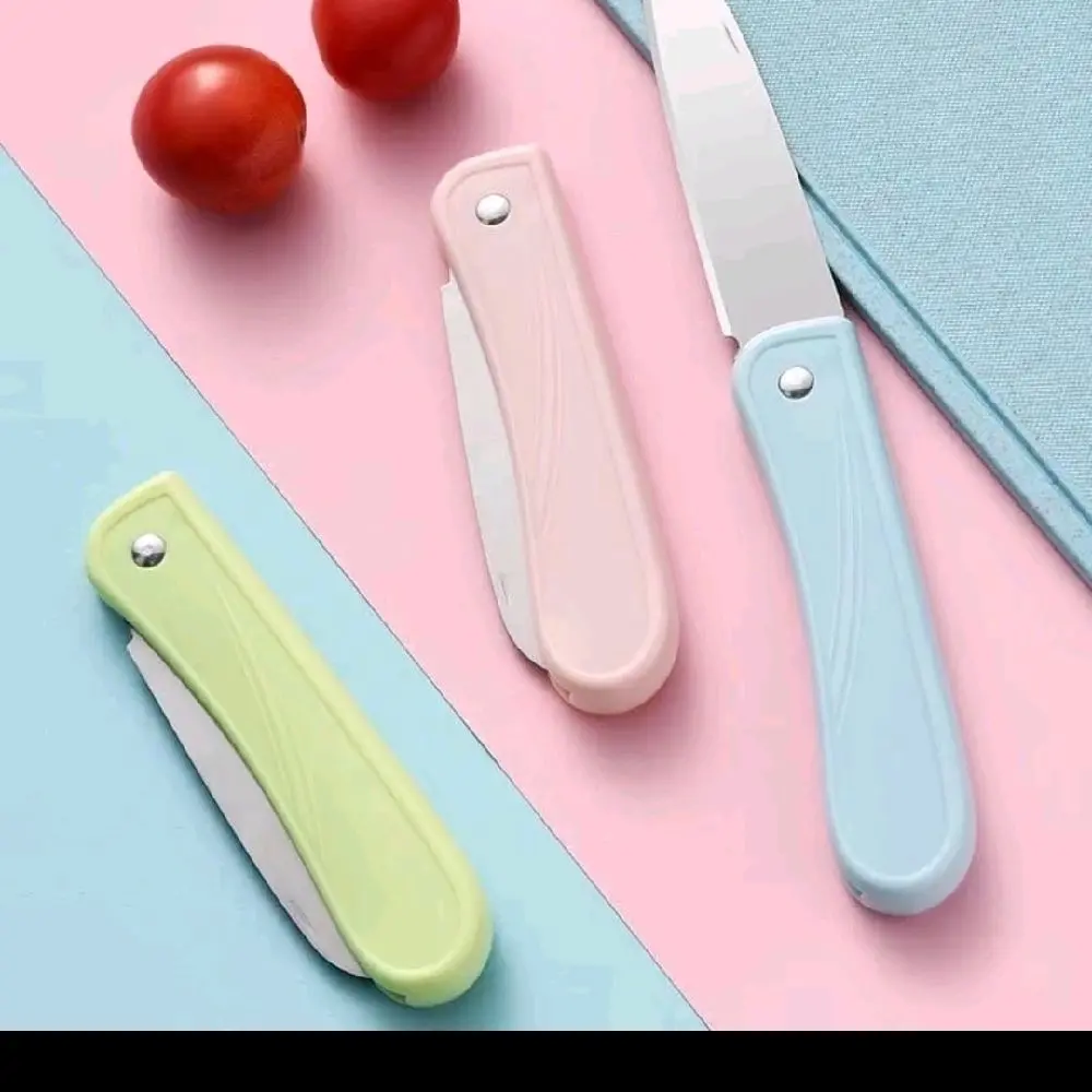 pisau buah stainless anti karat pisau kecil lipat
