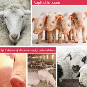 Botol + Dot Cempe 400ml Anak Kambing Silikon Dot Sapi Empeng Pedhet Silicon Botol Dot Kambing Bayi