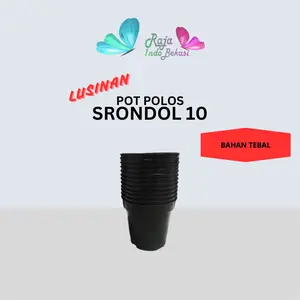 RAJA INDO LUSINAN isi 12pcs Pot Srondol 10 Hitam Pot Tinggi Bibit Tanaman Pot Kaktus Kecil Artificial