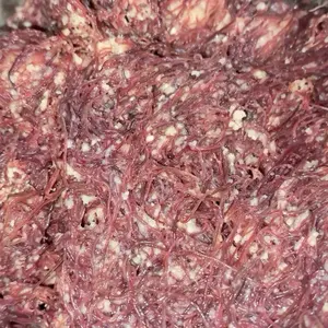 Casut-pelet cacing sutra