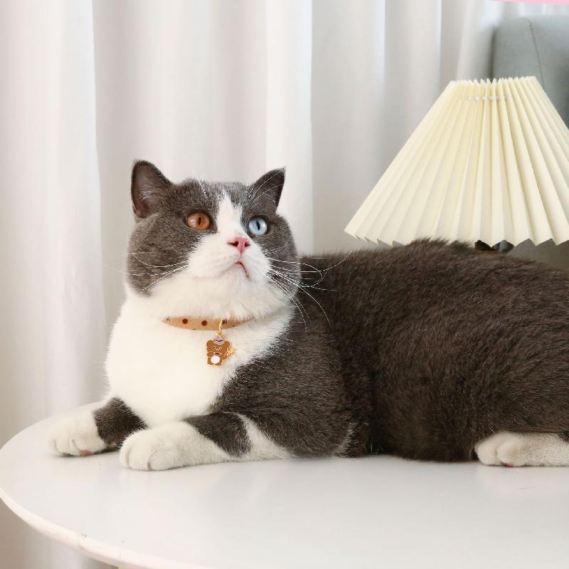 Product Introduction of Pet cat New Year's collar adjustable buckle bells polka dot blessing bag pendant puppy rabbit necklace accessories 29
