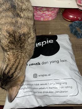 Product Review of Wispie Girl Boss Fitted Shirt | Kemeja kerja wanita fit garis stripe karet Lembut pink hijau biru from s**_ 1